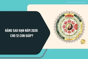 Tử Vi Bảng Coi Sao Năm 2026: Giải Mã Vận Hạn, Tài Lộc, Tình Duyên 12 Con Giáp