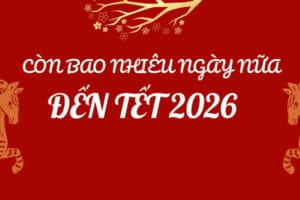 Mấy ngày nữa đến tết 2026 – Những điều nên làm để gặp may mắn cả năm