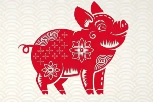 Vận hạn và may mắn tuổi Quý Hợi năm 2026 – Chuyên gia phong thủy luận giải