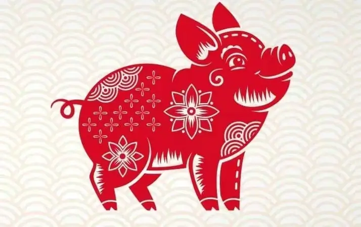 Tử vi tuổi Qúy Hợi năm 2026